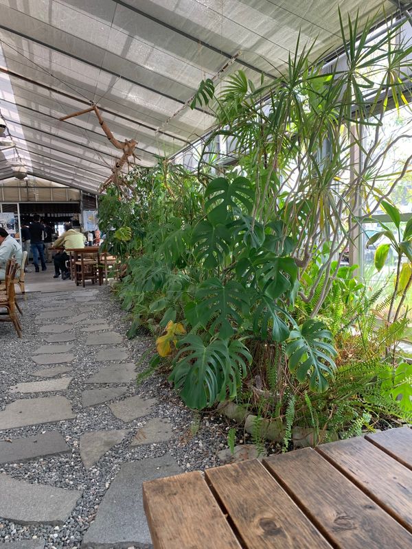 日本・香川県「さぬき」の写真