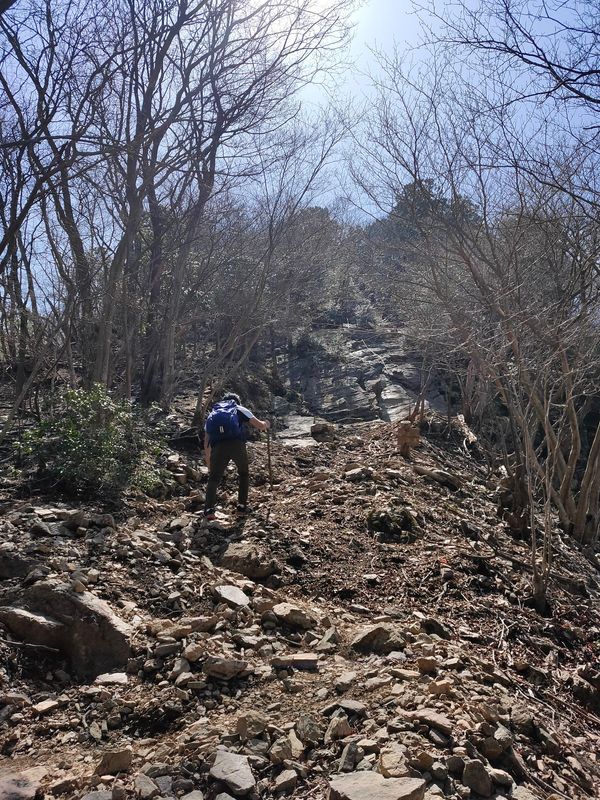 日本「伊豆ヶ岳鎖場登山」の写真：奥に見えるのが鎖場。出入り口は立入禁止的...