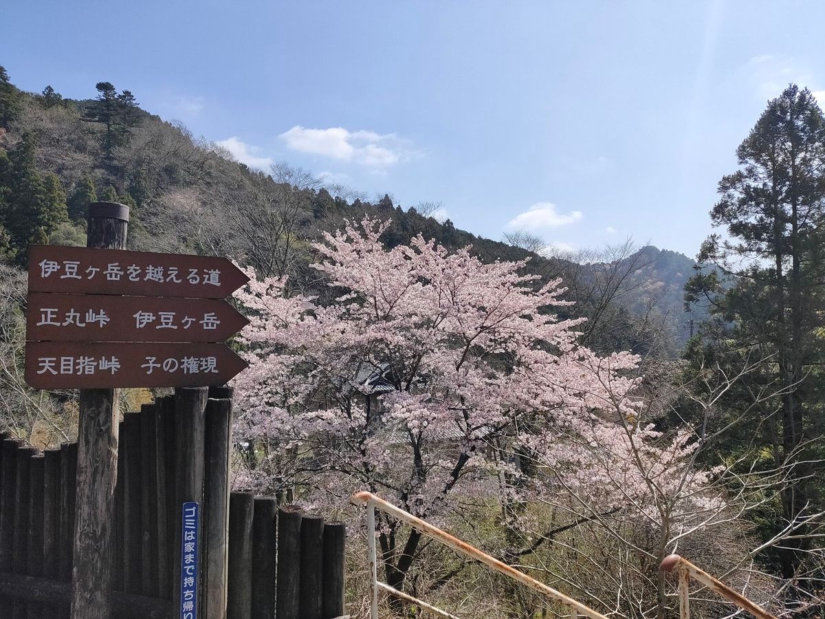 奥に見えるのが鎖場。出入り口は立入禁止的にロープされているが、自己責任で入...