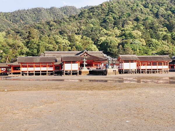 日本・山口県「2022ゴールデンウィーク家族旅行」の写真：厳島神社②