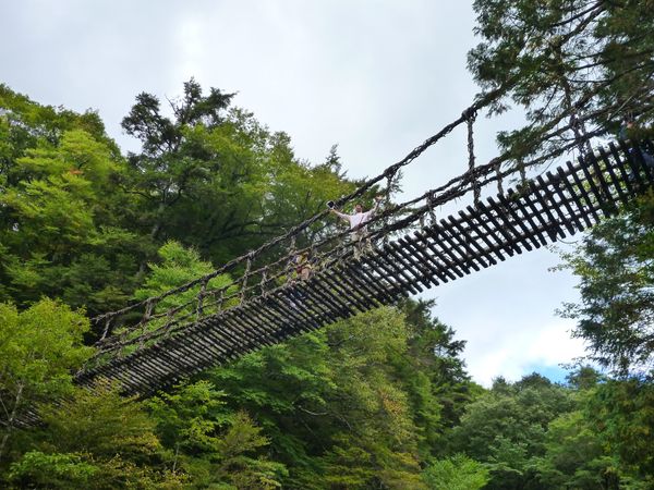 日本・徳島県「徳島」の写真：奥カズラ橋