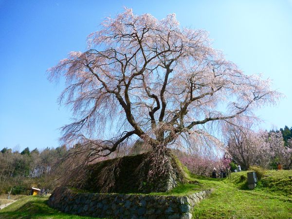 日本・奈良県「奈良県」の写真