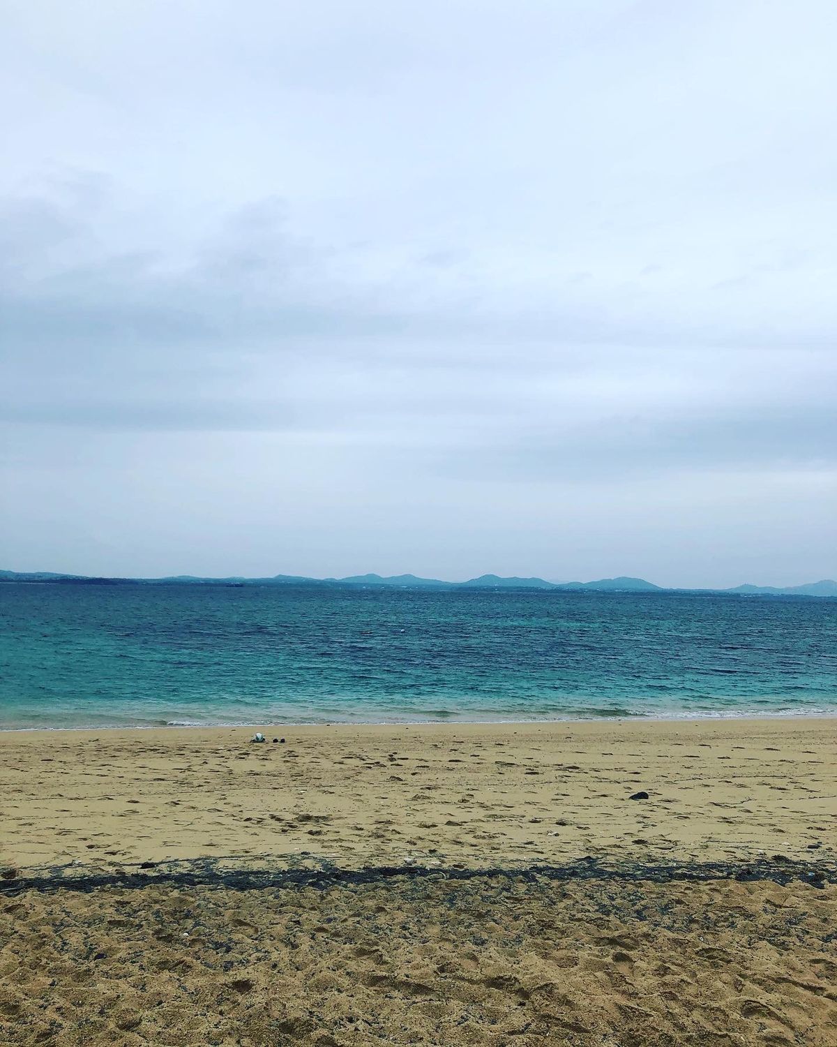 うるま市大迫ビーチへ⛱
シュノーケリング。ニモニモニモ‼︎
しかも大きい。...