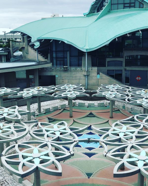 日本・沖縄県「おきなわ　ちむどんどん旅」の写真：みどりの日イベント、第二弾！
夕方らか宜...