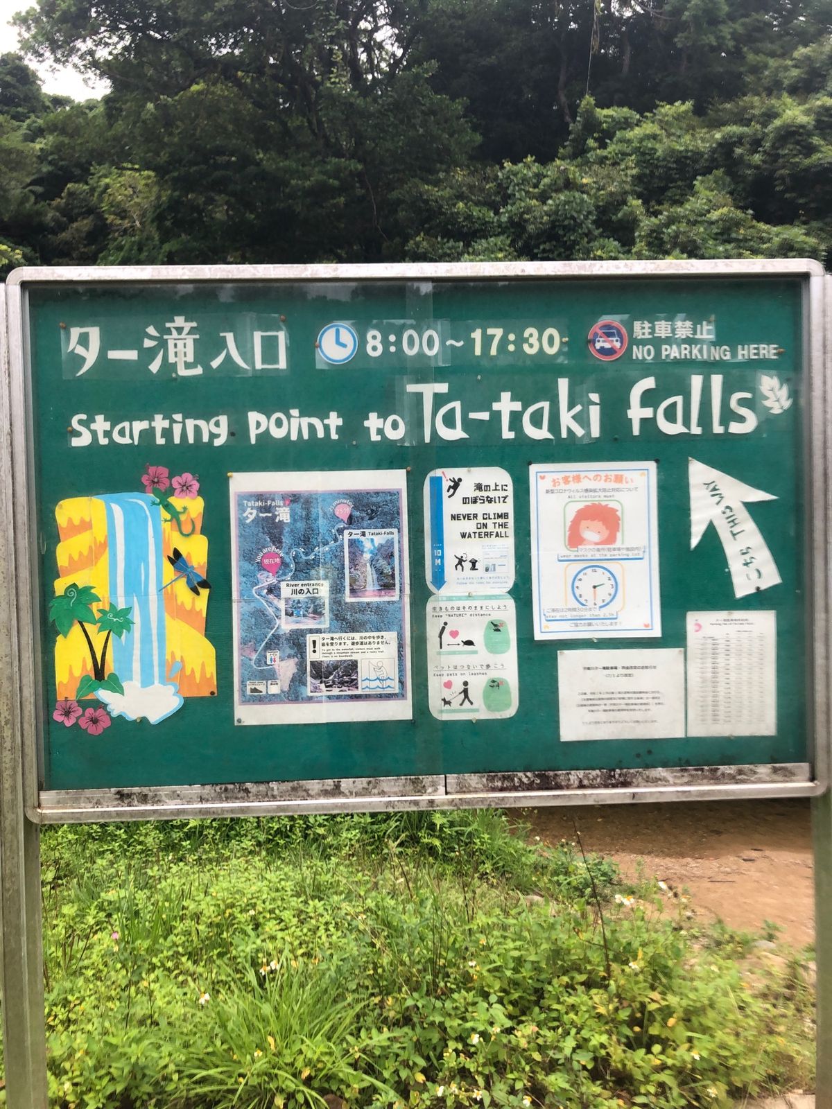 4月30日
沖縄に行けるようになったらまず行きたかったのは、国頭村ター滝！...