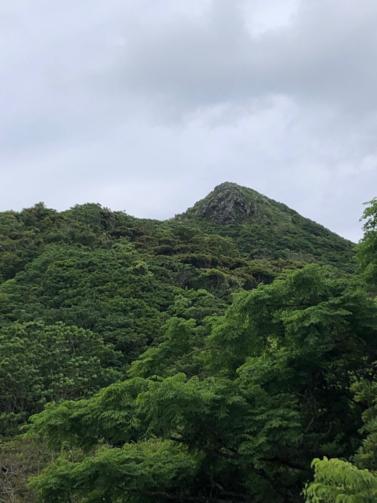 嘉津宇岳って簡単そうだけど、結構すごい山だった。ちむどんどん♪