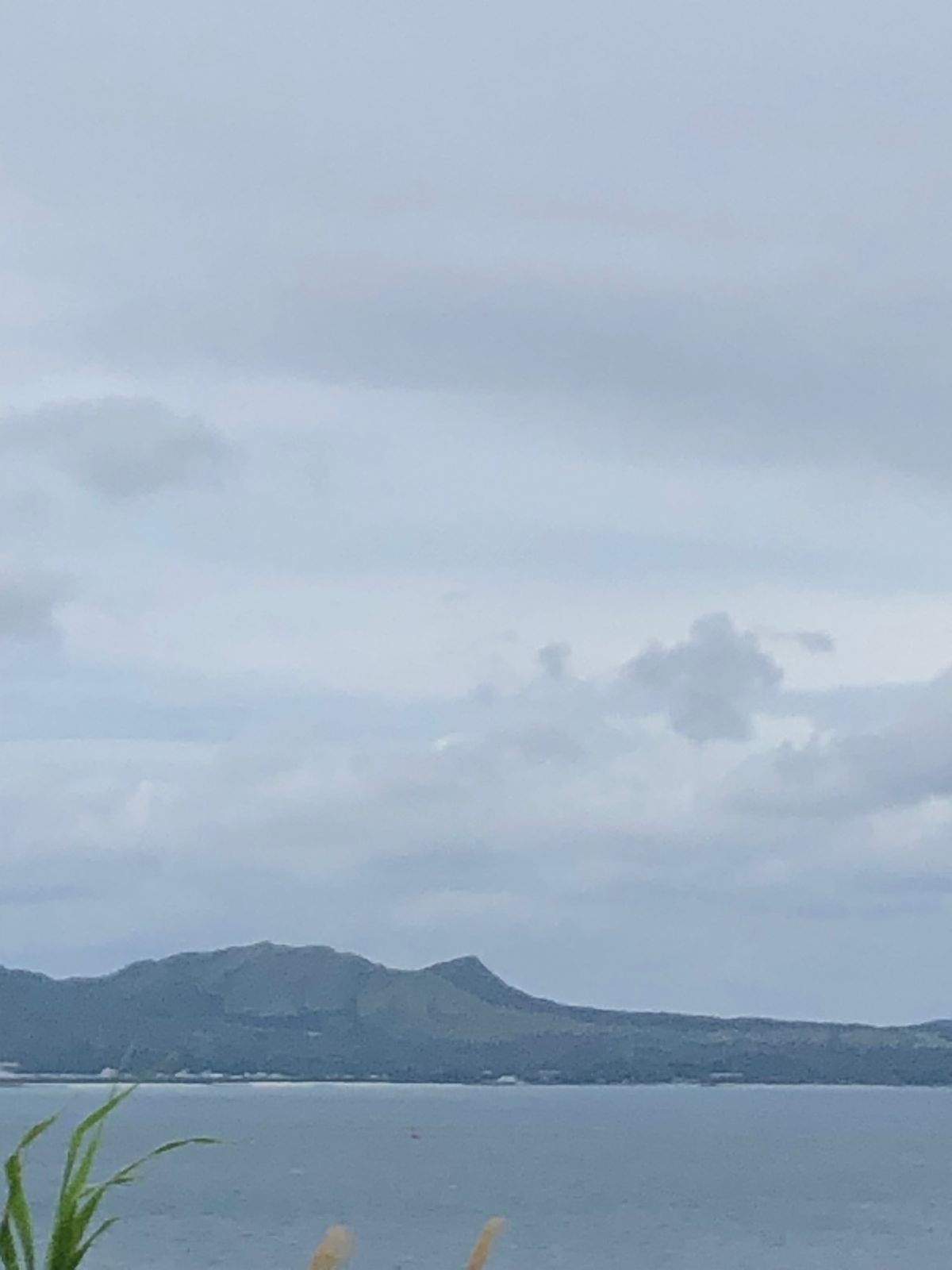 森林セラピーロードがあるから、次も別ルート行ってみたい！ちむどんどん♪