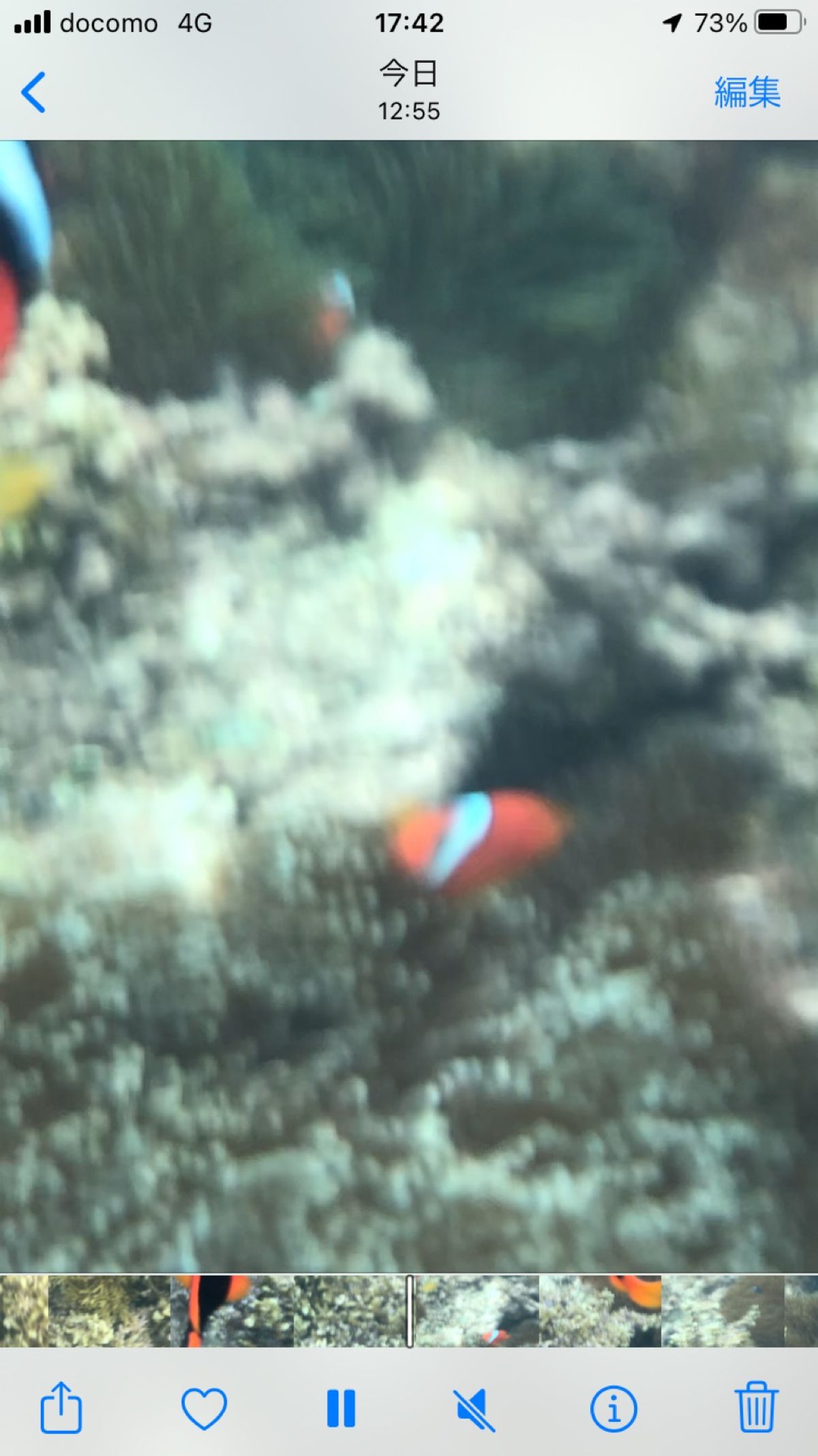 うるま市大迫ビーチへ⛱
シュノーケリング。ニモニモニモ‼︎
しかも大きい。...