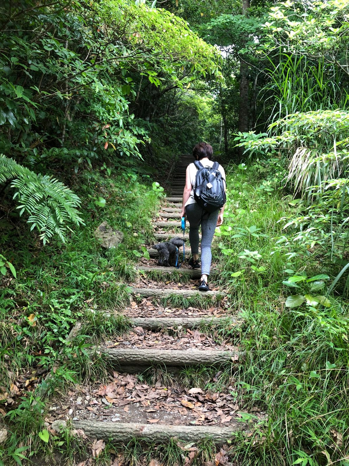 嘉津宇岳って簡単そうだけど、結構すごい山だった。ちむどんどん♪