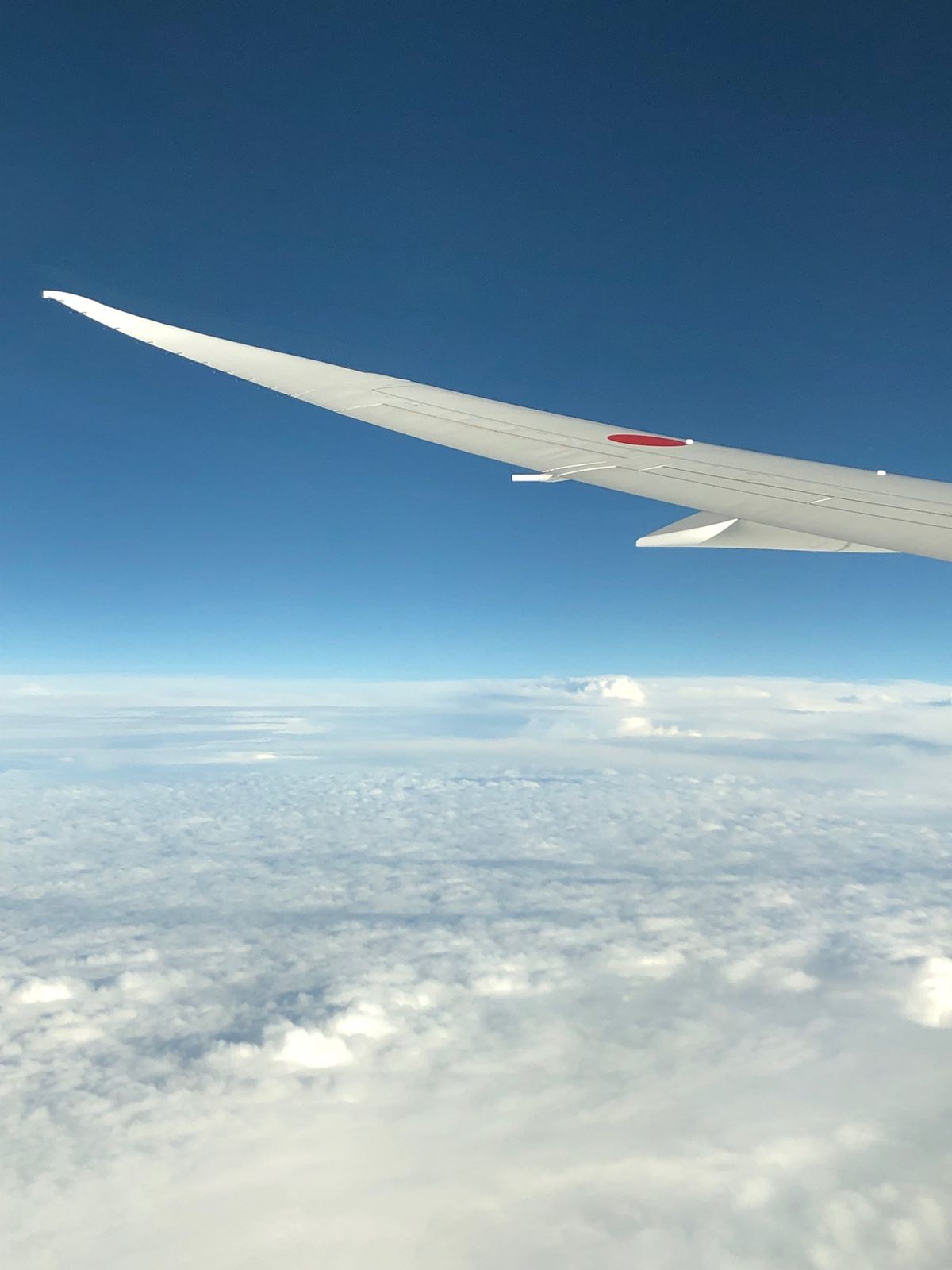 4月29日
雨の羽田空港を出発。
空の上は晴天。
無事に那覇に到着。やっぱ...