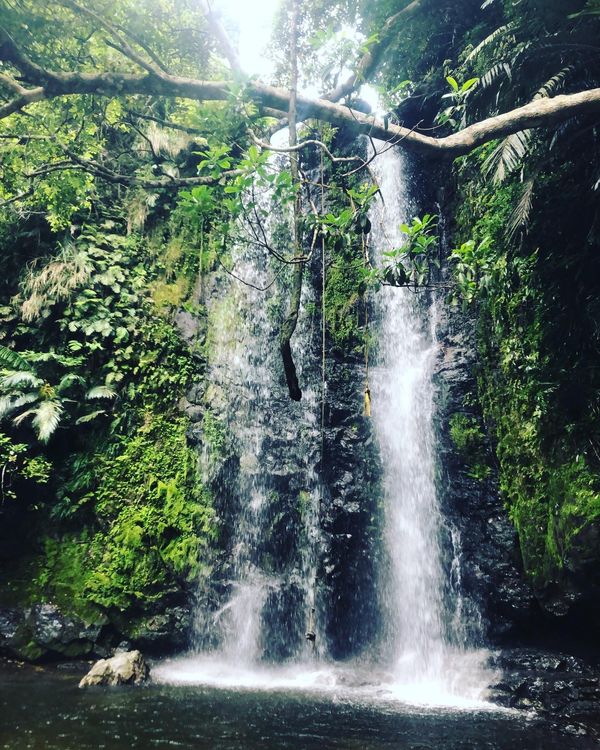 日本・沖縄県「おきなわ　ちむどんどん旅」の写真：4月30日
沖縄に行けるようになったらま...