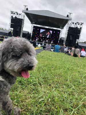 さらにちむどんどんを求めて♪
うるま市まるごと文化祭へ移動。
目的は、
ネ...