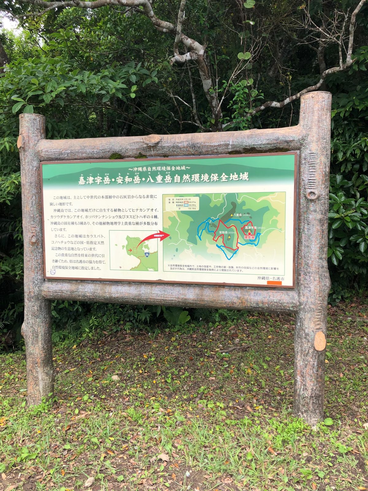 嘉津宇岳って簡単そうだけど、結構すごい山だった。ちむどんどん♪