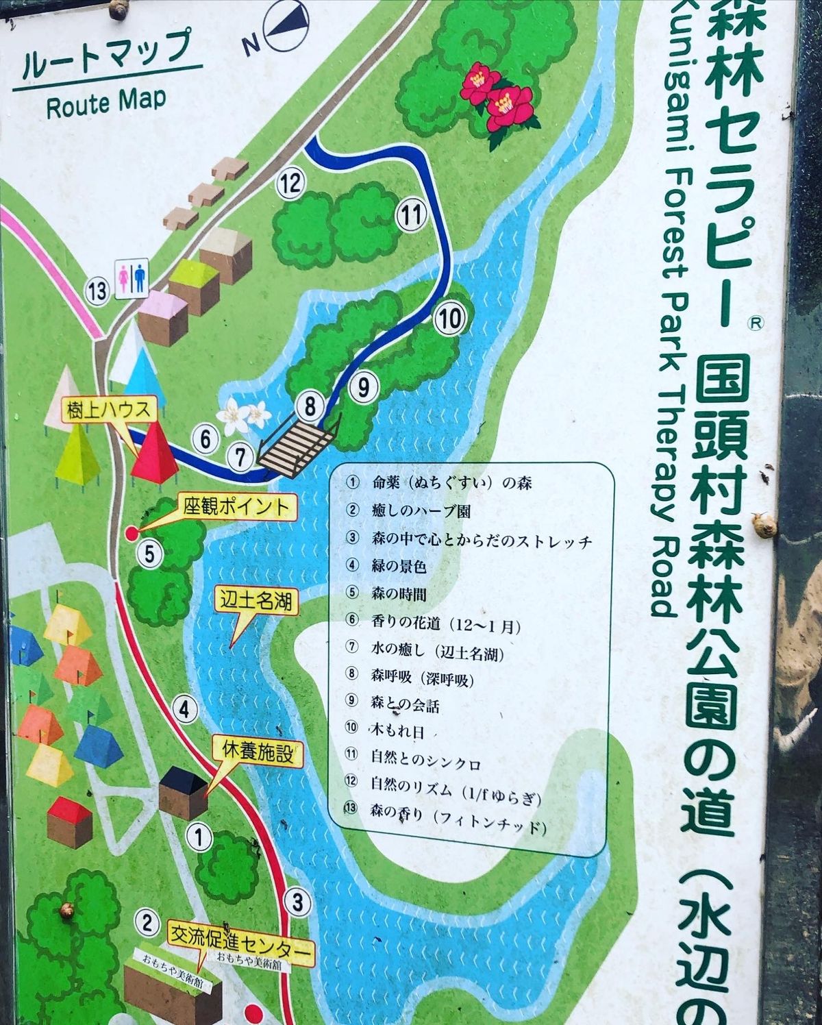 森林セラピーロードがあるから、次も別ルート行ってみたい！ちむどんどん♪