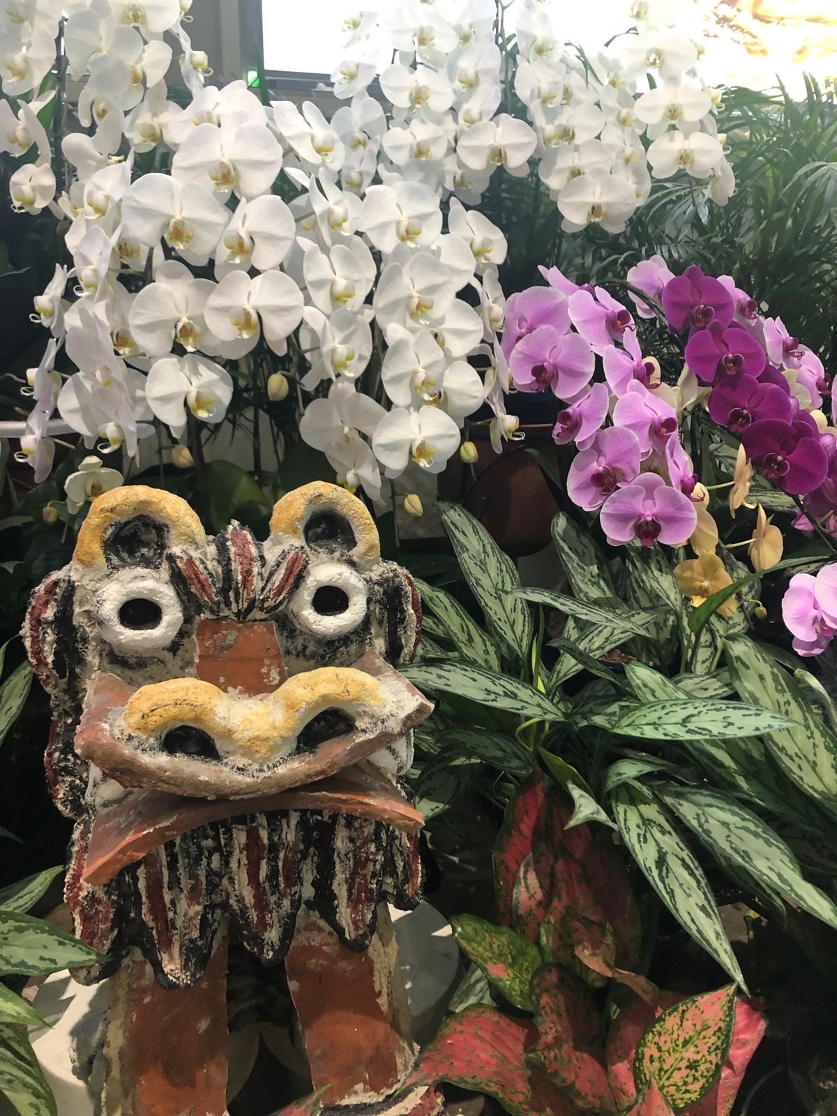 4月29日
雨の羽田空港を出発。
空の上は晴天。
無事に那覇に到着。やっぱ...