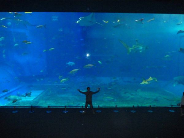 日本・沖縄県「沖縄」の写真