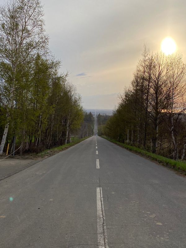 日本・北海道「北海道　知床•羅臼ドライブの旅🚗💨」の写真：①天に続く道　全長約28kmの直線道路
...