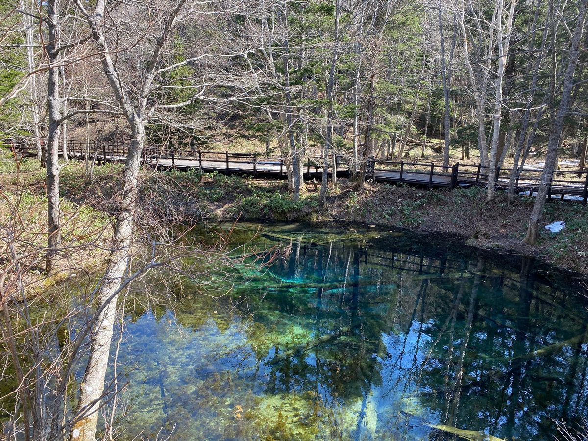 神の子池と摩周湖に寄ってから釧路方面へ南下🚗