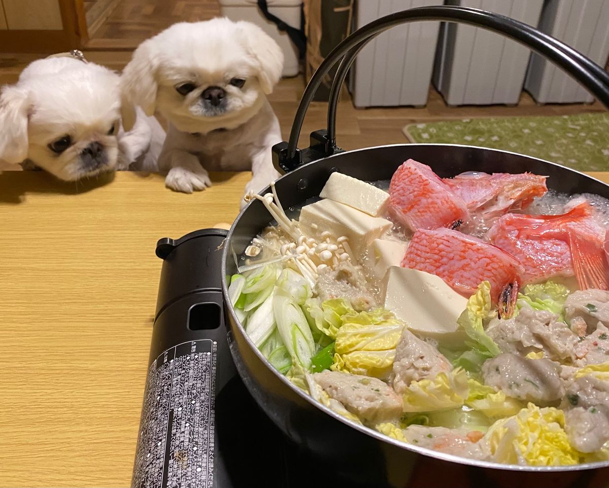 ①天に続く道　全長約28kmの直線道路
②オシンコシンの滝
③宿泊先は“来...