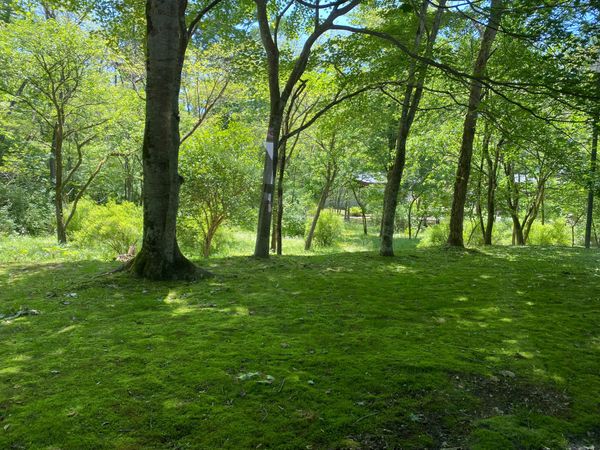 日本・軽井沢「軽井沢（保養所）ステイ」の写真