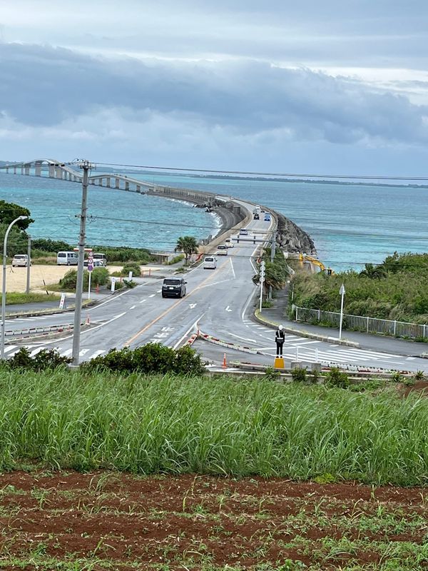 日本・宮古島「梅雨入りの宮古島」の写真：この角度から飛行機見れるのって貴重！
雨...