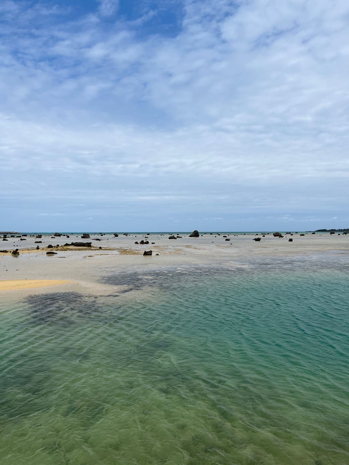 この角度から飛行機見れるのって貴重！
雨予報でしたけど、雨に当たらず！
自...
