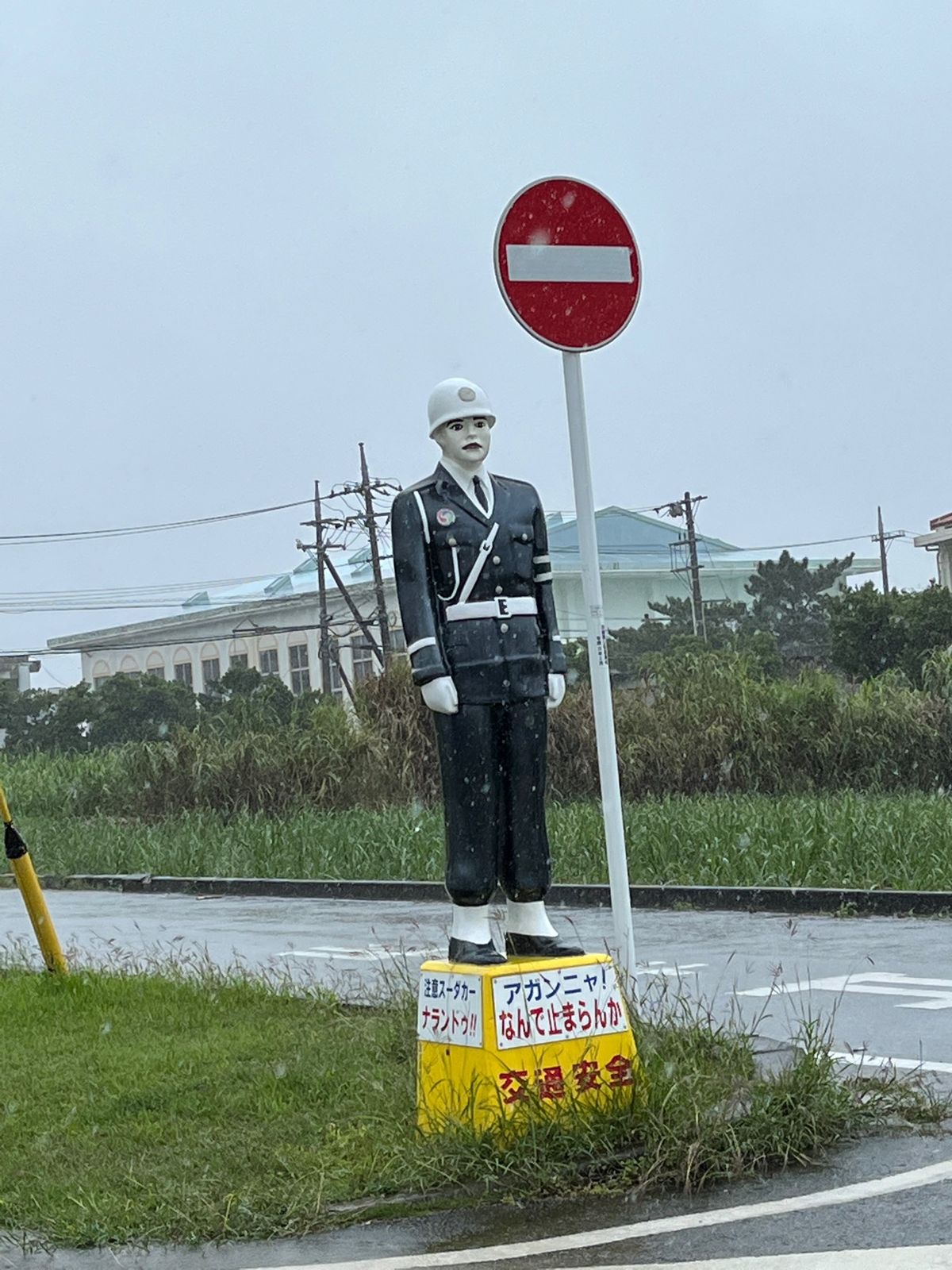 宮古島４日目。
やっとレンタカーに乗れる！
屋根があるってありがたい笑
今...