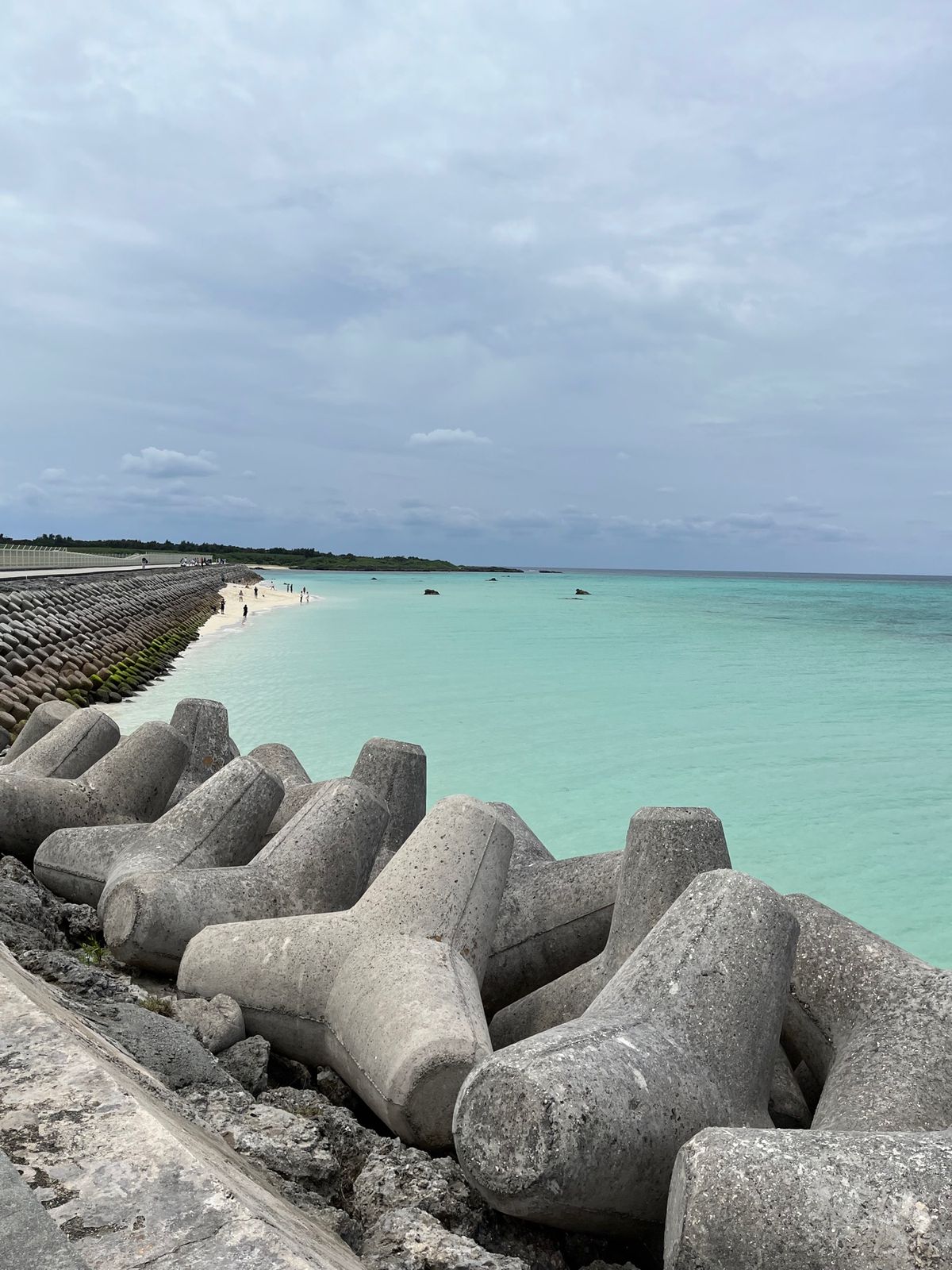 この角度から飛行機見れるのって貴重！
雨予報でしたけど、雨に当たらず！
自...
