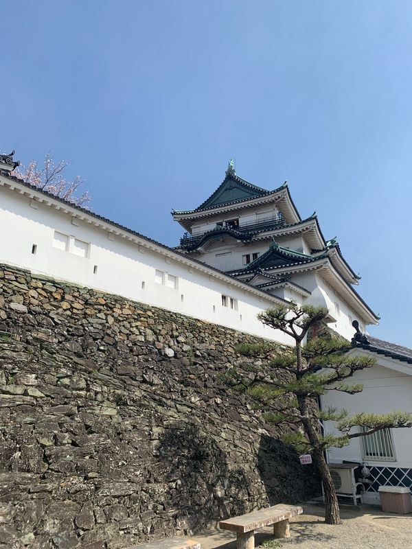 日本・和歌山県「春休み日帰り旅」の写真：和歌山城は一番上の娘が１歳の時に行ったの...