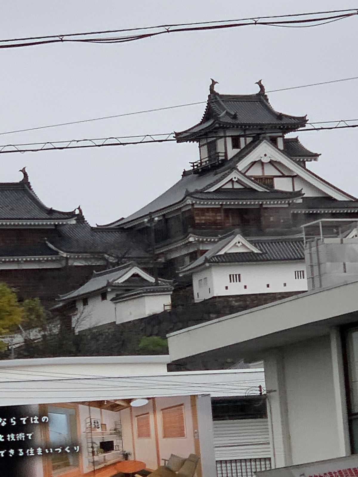 福知山へ愛犬と１人と１匹旅🏃‍♂️
帰りは爆睡🤣