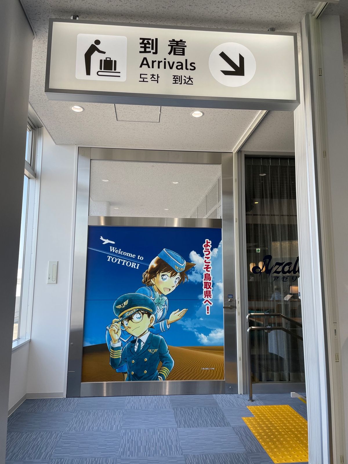 鳥取砂丘がきれいに見えた
鳥取砂丘コナン空港