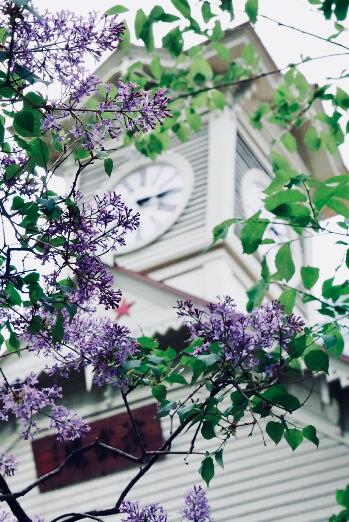 【札幌市時計台】

カメラを持って行ったのに
思うような写真が撮れない🥲
...