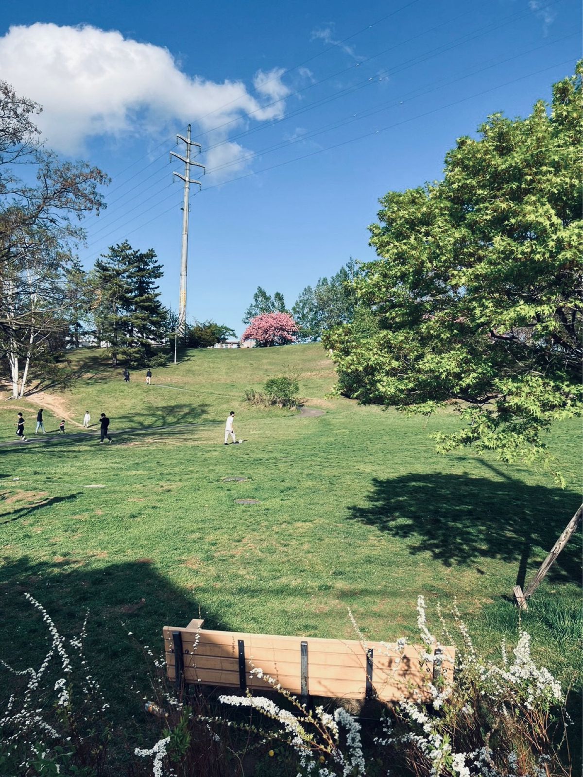 【平岸高台公園】
「水曜どうでしょう」の
オープニング、エンディング撮影場...