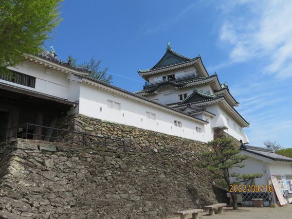 日本・和歌山県白浜「卒業旅行」の写真