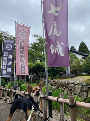 城写真ばかり掲載します。
富山城、高岡城跡、七尾城、金沢城🏯
たくさんまわ...