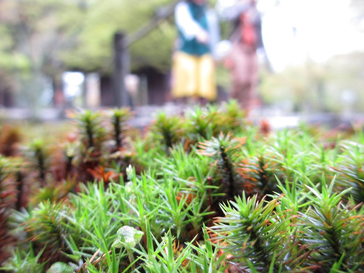 1日目
京都に到着。
ノープランでお寺をブラブラしてたけど、
思いつきで人...