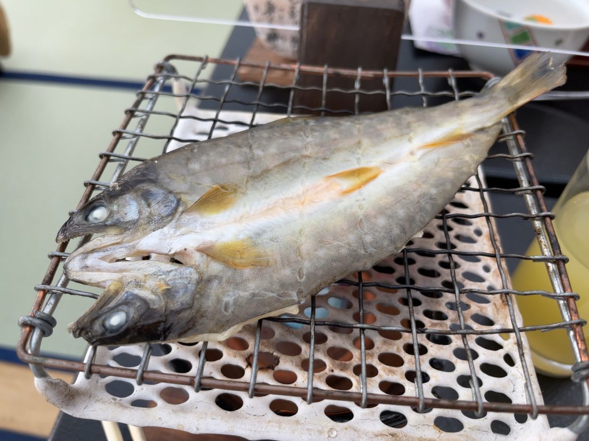 この日の朝ごはんはやっぱり朴葉味噌。ご飯が進みます。
