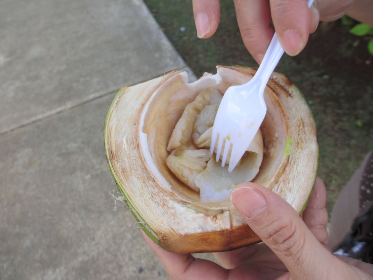 食べたものたち
ココナッツは身を醤油で食べると美味しい！