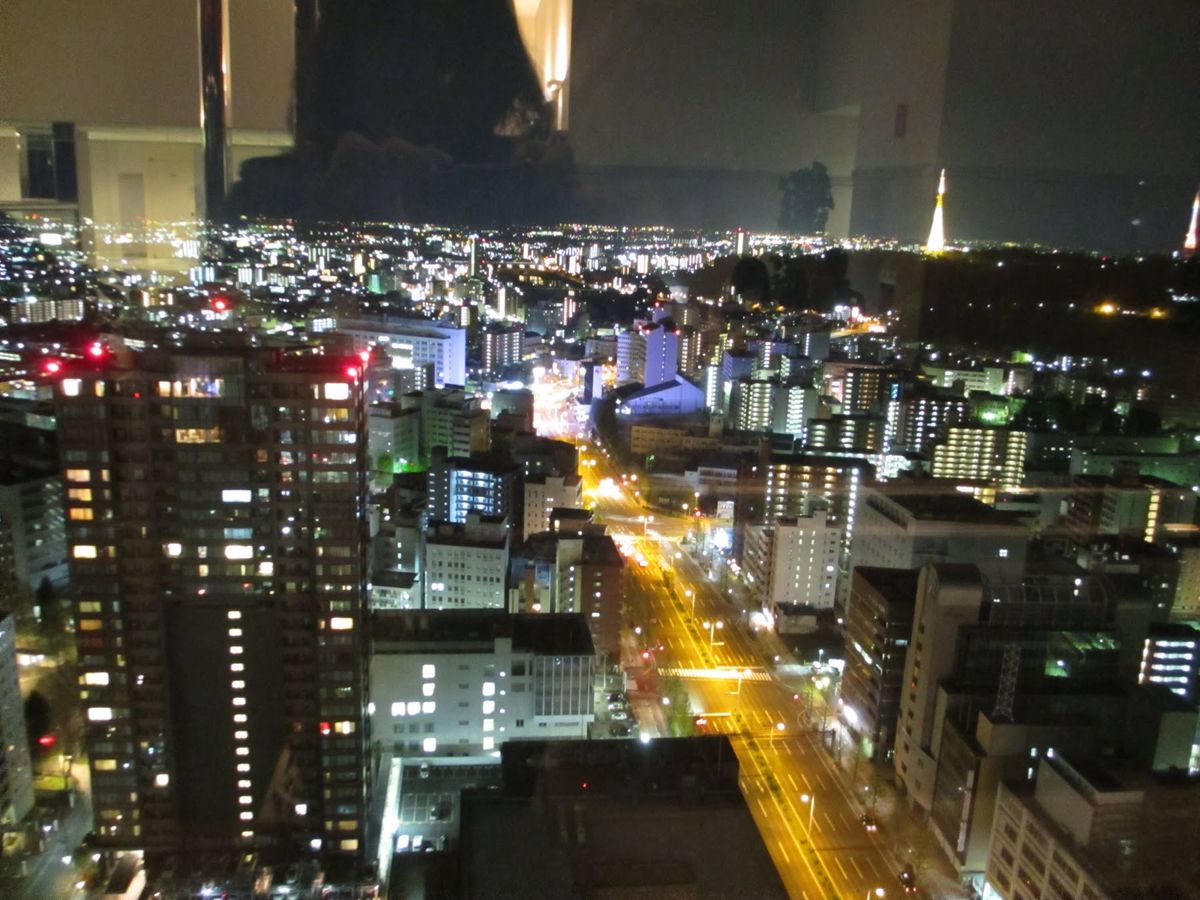 山寺と観光
夜景は仙台駅の展望台から