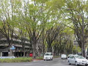 ゴールデンスランバー
アヒルと鴨のコインロッカー
などなど映画のロケ地巡り...