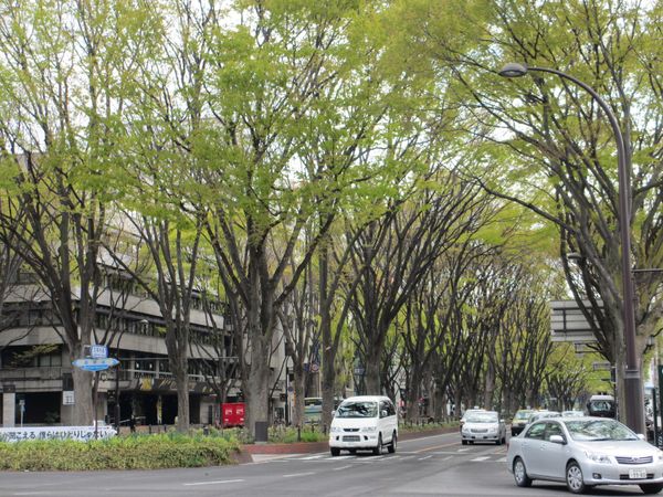 日本・宮城県「宮城・山形旅行」の写真：ゴールデンスランバー
アヒルと鴨のコイン...