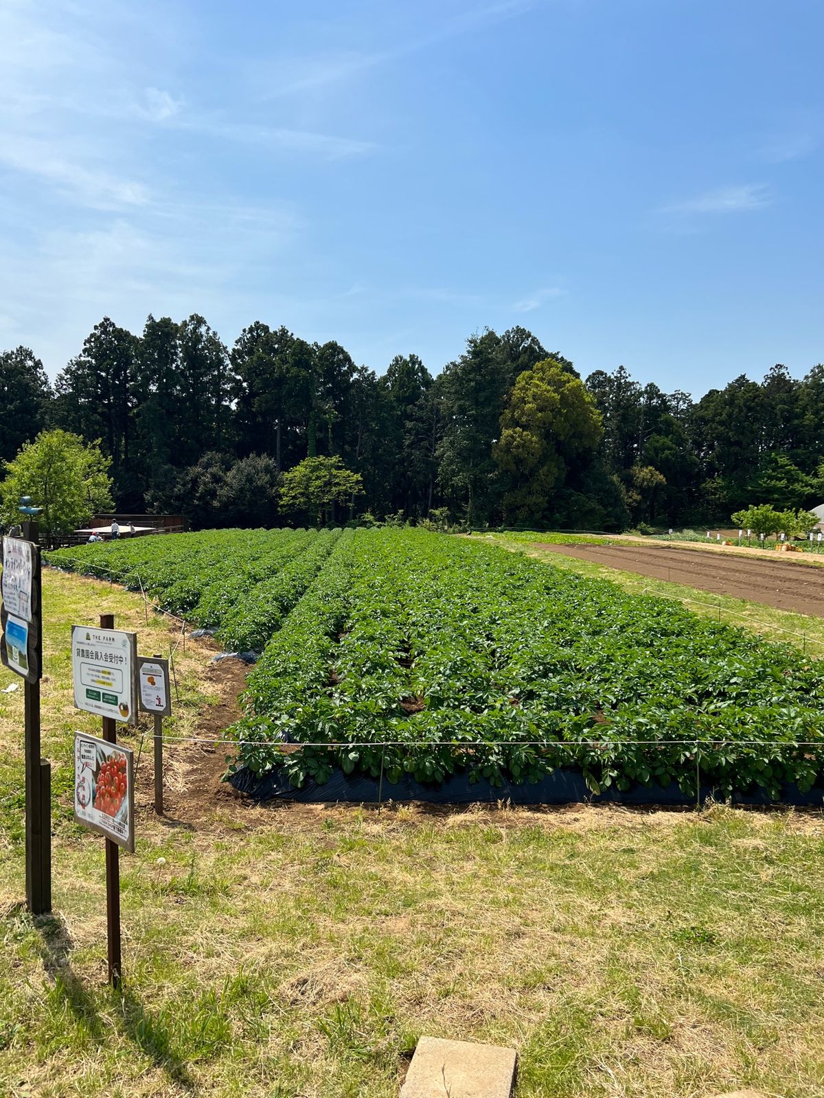 ザファームに到着！都内から1時間ちょっと。成田の少し先です。
めちゃくちゃ...