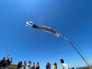 毎年5月3日の加須市民平和祭にて揚る全長100mのジャンボこいのぼり🎏3年...