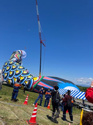 毎年5月3日の加須市民平和祭にて揚る全長100mのジャンボこいのぼり🎏3年...