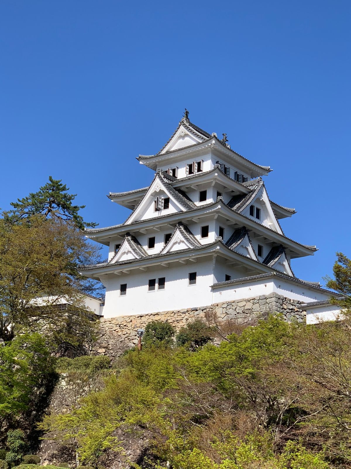 大垣城、岐阜城、郡上八幡城からの下呂温泉♨️なかなかハードでした。岐阜城は...