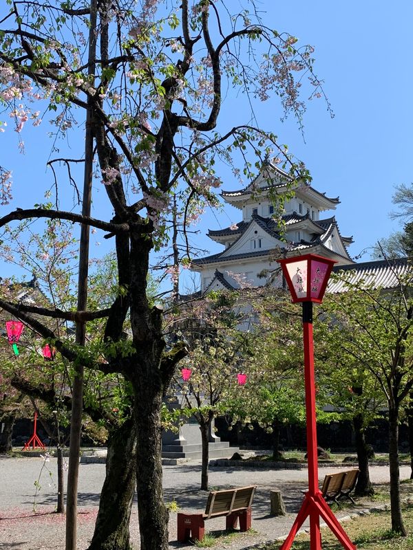 日本・岐阜県「日帰り下呂温泉」の写真：大垣城、岐阜城、郡上八幡城からの下呂温泉...