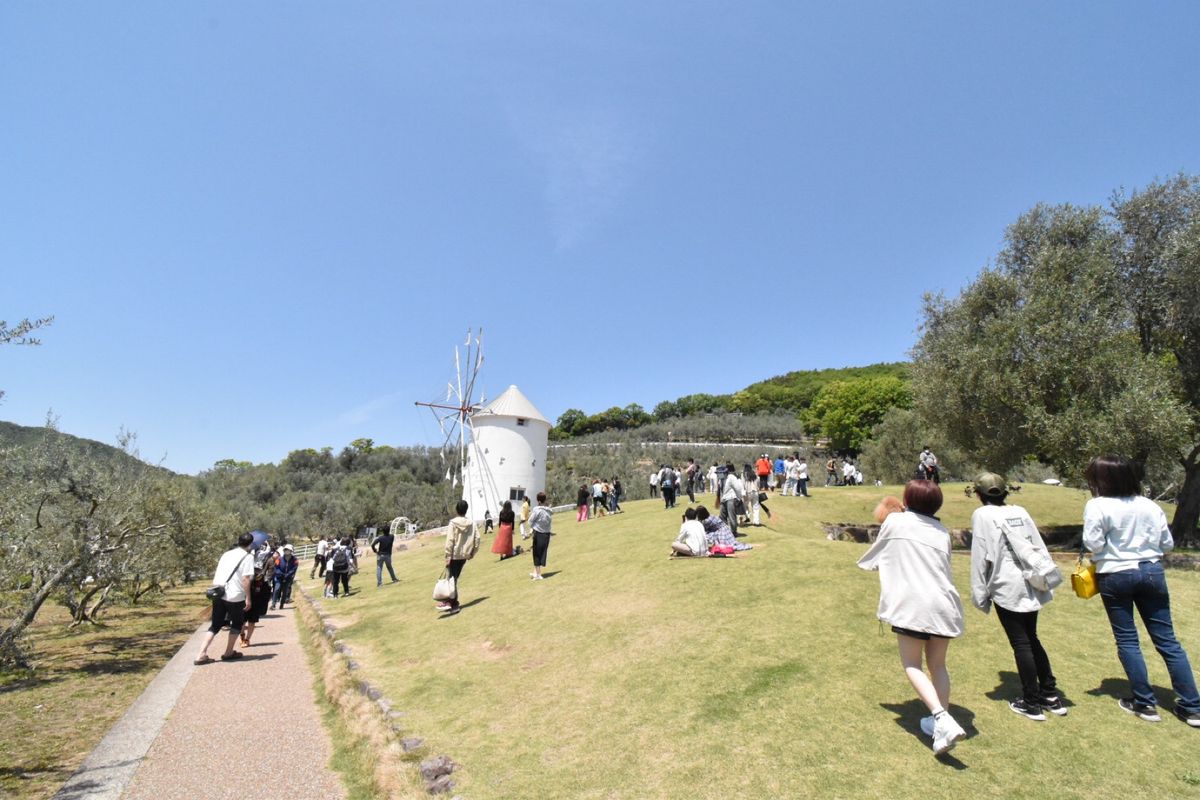 オリーブ公園！

みんな箒借りて飛んでる写真撮ろうとして、ぴょんぴょん跳ねてた！