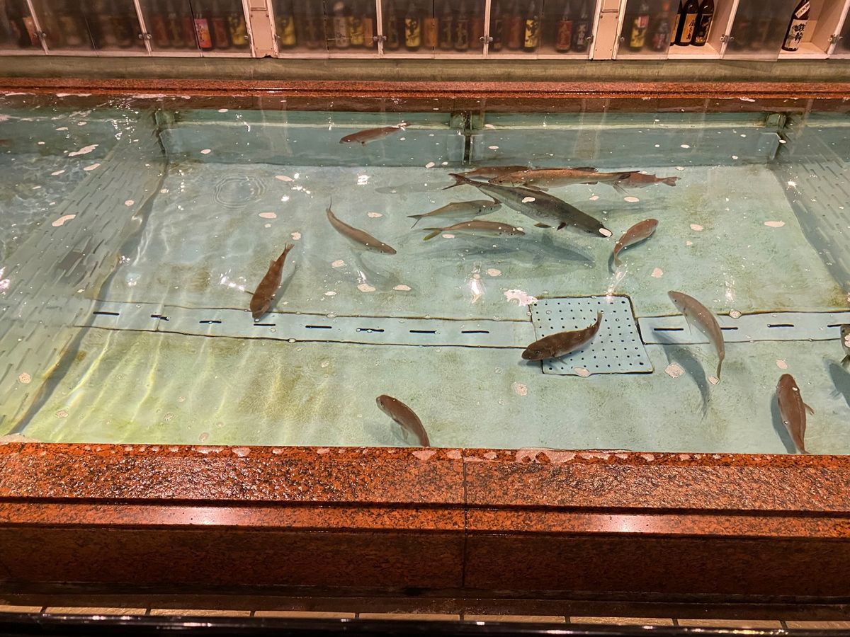 魚料理！
高松の天勝さんでいただきました！
