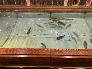 魚料理！
高松の天勝さんでいただきました！
