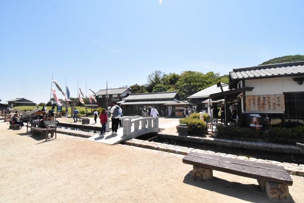 日本・香川県「香川旅！2泊3日！」の写真：二十四の瞳映画村！
こいのぼり！